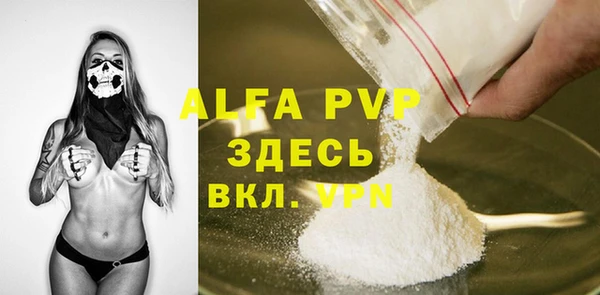крисы Елабуга
