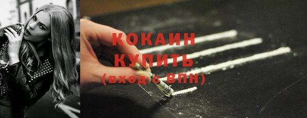 крисы Елабуга