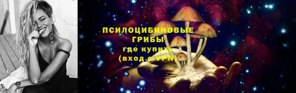 мескалин Ельня