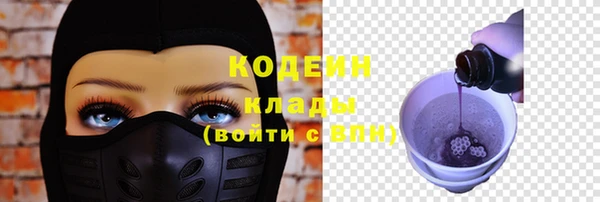 крисы Елабуга