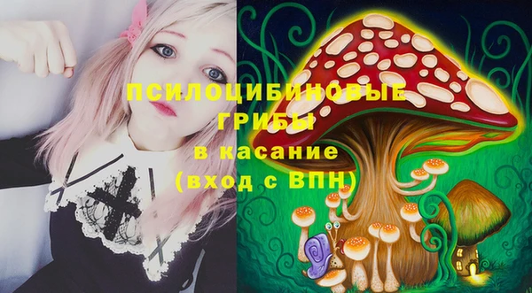 мескалин Ельня