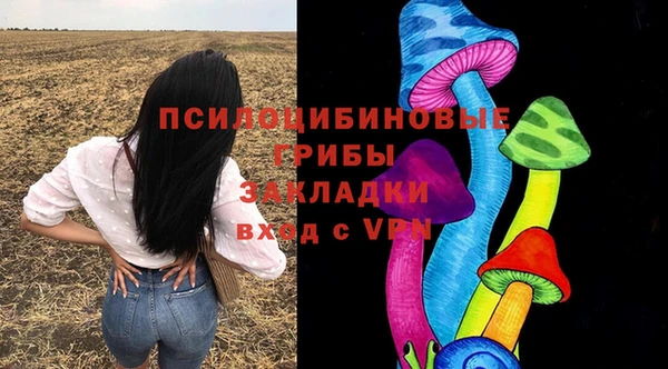 крисы Елабуга