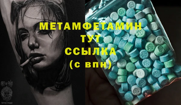 крисы Елабуга