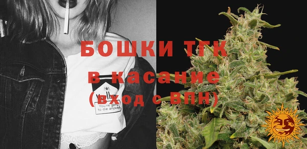 мескалин Ельня