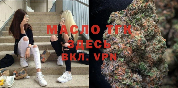 крисы Елабуга