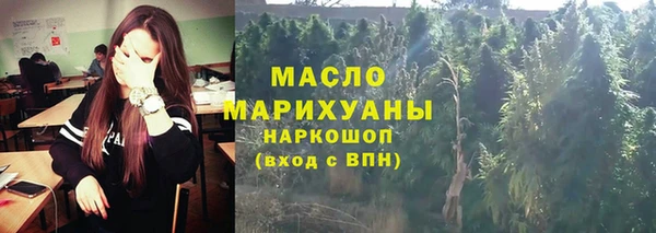 крисы Елабуга