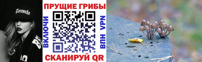 Купить закладки  Джанкой  Галлюциногенные грибы Psilocybe 