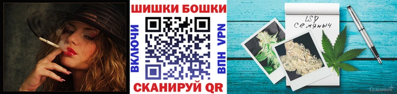 Купить где  Джанкой  Бошки марихуана ГИДРОПОН 